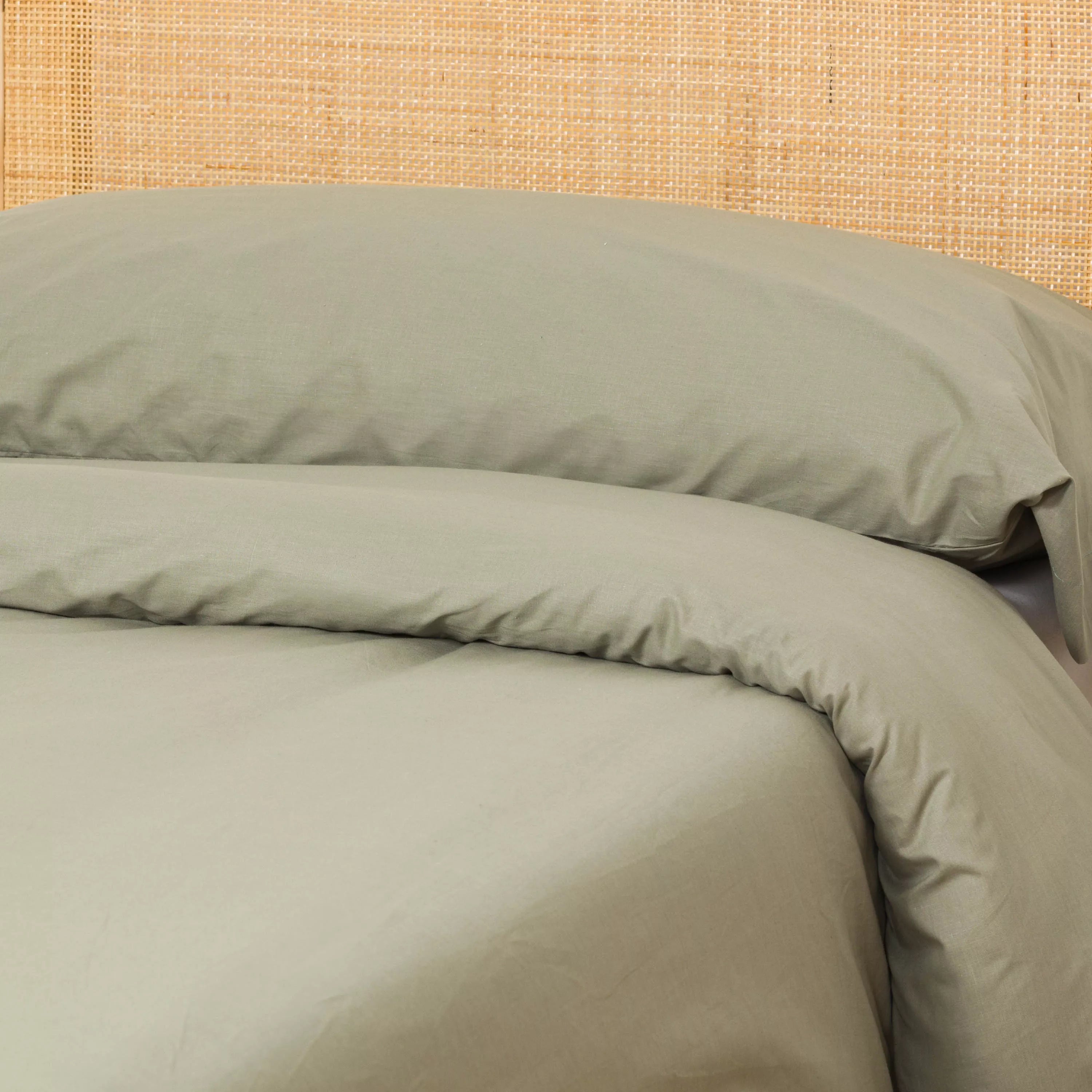 COPRIPIUMINO ALG DYE