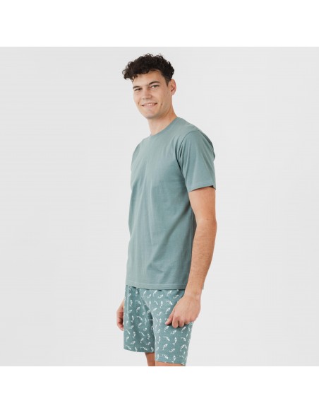 Pigiama corto cotone uomo Flip verde pijama-corto-algodon