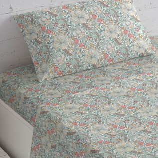 Set di lenzuola cotone Darcy