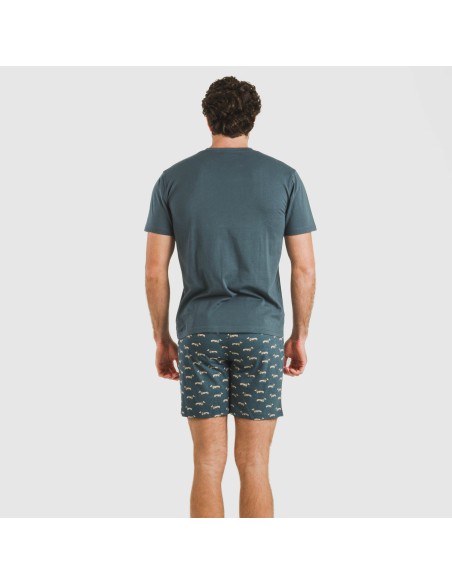 Pigiama corto cotone uomo Alexandro turchese