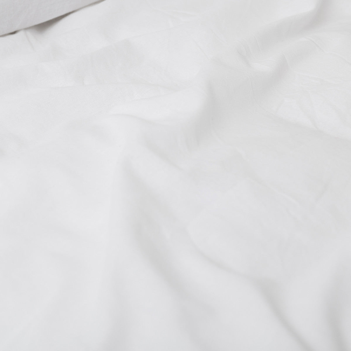 COPRIPIUMINO TINTURA DI ALGHE BIOLOGICA