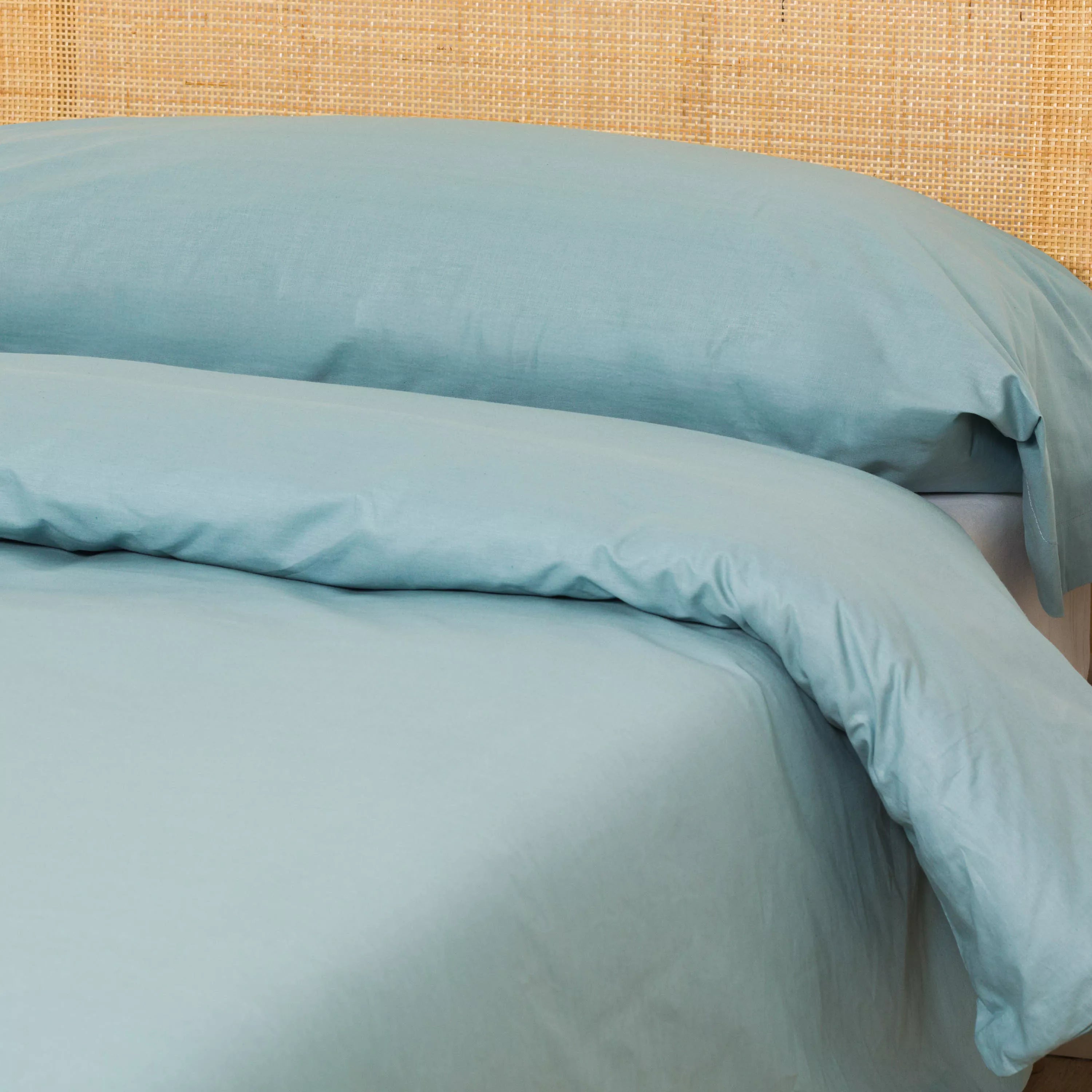 COPRIPIUMINO ALG DYE