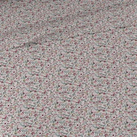 GIOCO DI SCHEDE ALG ALDA